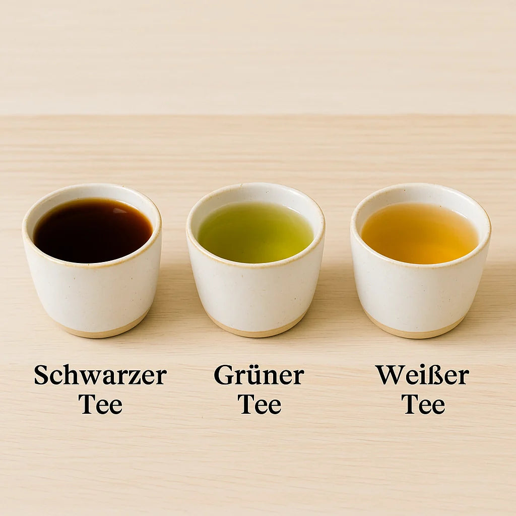 Schwarzer, grüner und weißer Tee nebeneinander in Tassen