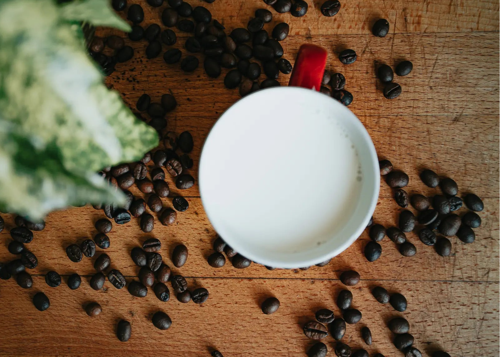 Potio – Bio-Tee und Spezialitätenkaffee mit Herkunft und Leidenschaft